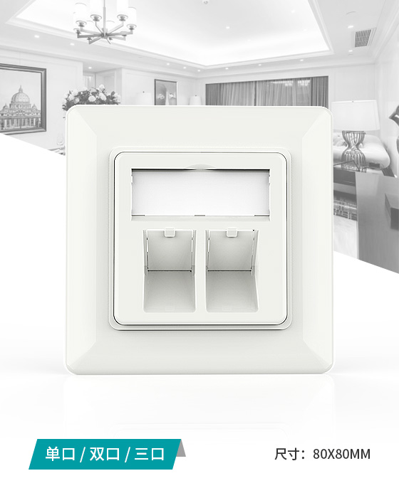 80型-網(wǎng)絡(luò)面板,電腦插座