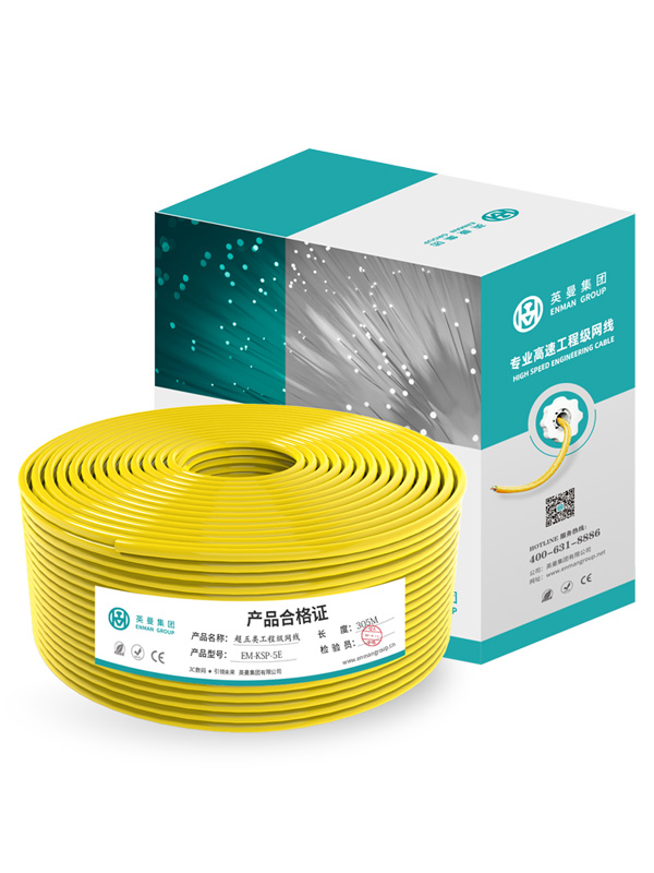 超五類-專業家裝工程網線