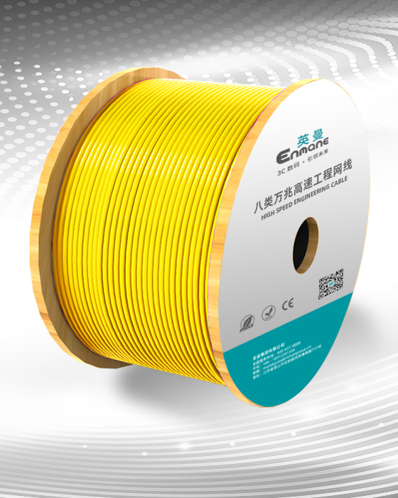 八類-雙屏蔽專業(yè)工程網(wǎng)線(SFTP)